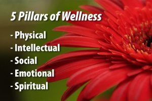 CPW 5 pillars of wellness