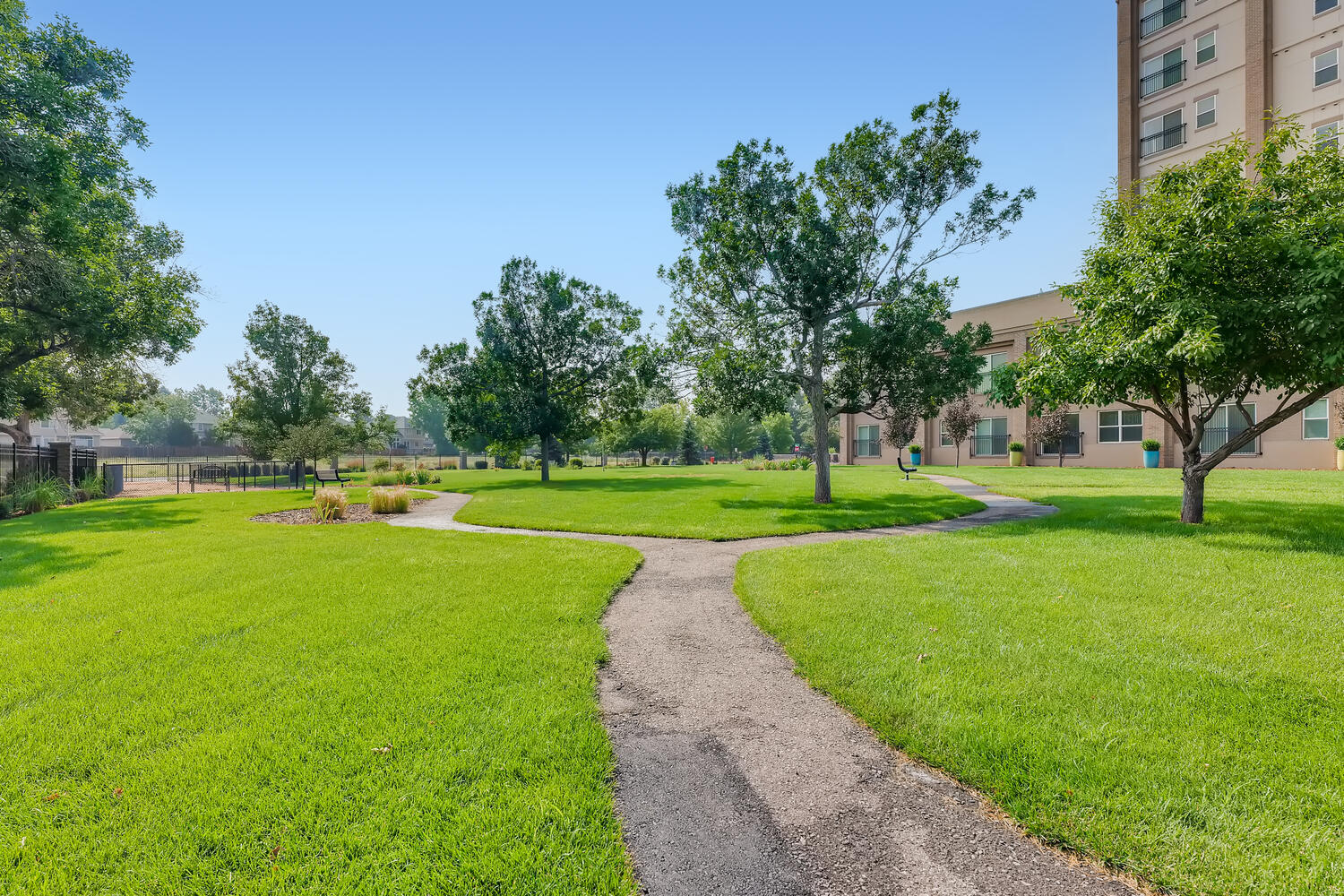 Outdoor walking paths at Bella Vita surrounded by grass, trees, and benches.